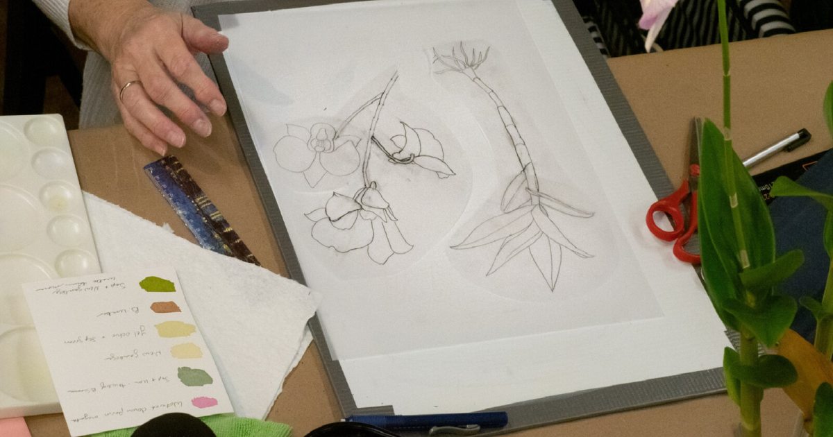Botanical Art for Beginners | Longwood Gardens